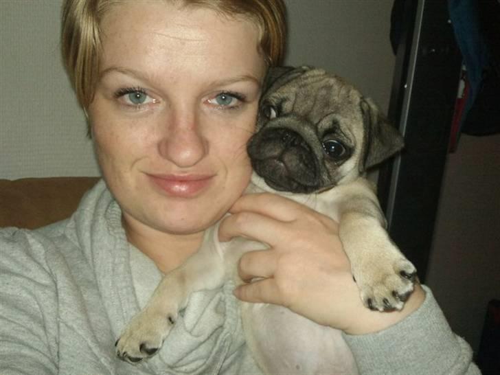 Mops Joey - uh.. hey.. hvad sker der, mor? billede 11