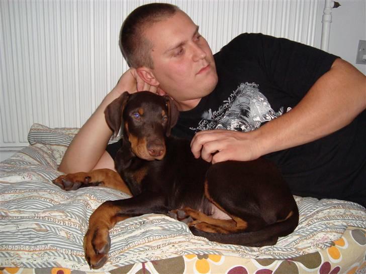 Dobermann Kejser *R.I.P* - Kejser der putter med sin far .. billede 7