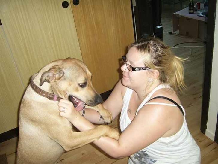 Blanding af racer Kahloua - bæstet kan godt lide at kramme mig :D billede 7