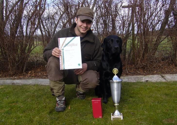 Labrador retriever Anton billede 15