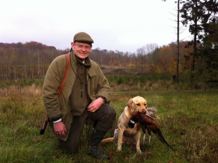 Labrador retriever Balder  - Balder på jagt med far:D han er så dygtig!! billede 8