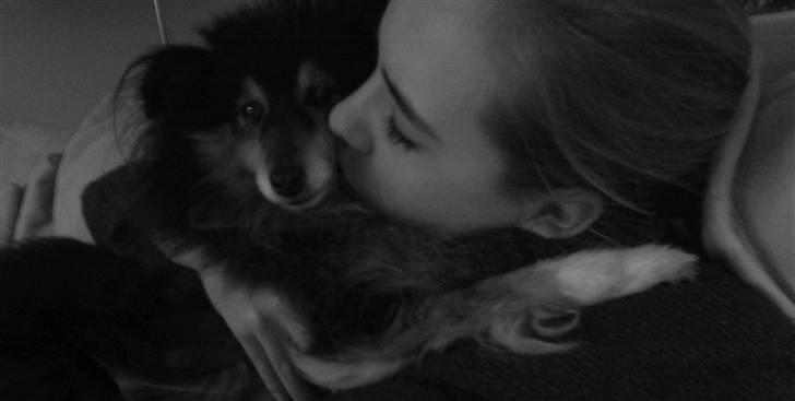 Shetland sheepdog Bessie - R.I.P minskat :-* - 18* Mig og Bessie (: Vinter 2010 Foto: Pernille :* billede 18