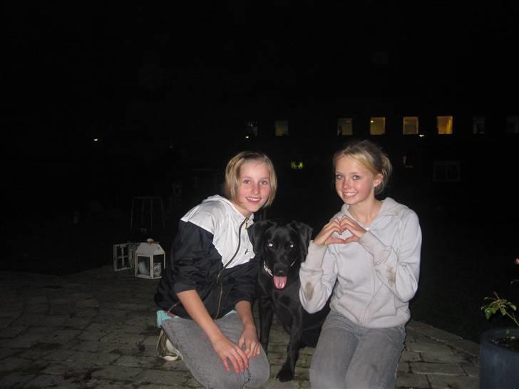 Blanding af racer Pepsi  (solgt savner dig) - Det Sidste Billede Af Hannah, Sofie, Og Pepsi ;´) #7 billede 7