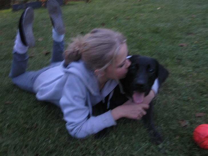 Blanding af racer Pepsi  (solgt savner dig) - I Love You So Much,!(; #9 billede 9