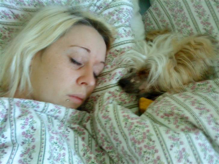 Chinese crested hårløs Malthe - ØV, min mor er syg så nu passer jeg lige på hende i mens vi sover. :) billede 16