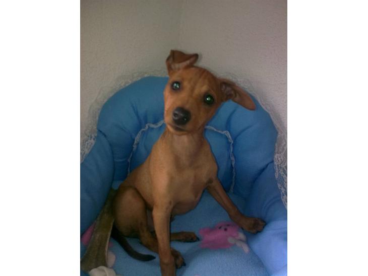 {{currentPhoto.altText}} billede {{currentPhoto.number}}