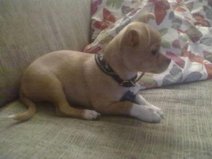 {{currentPhoto.altText}} billede {{currentPhoto.number}}