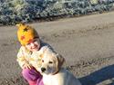 Golden retriever Buller