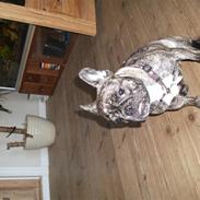 Fransk bulldog Emma