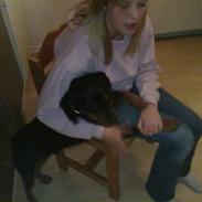 Blanding af racer (Solgt) Bjørn <3:-(