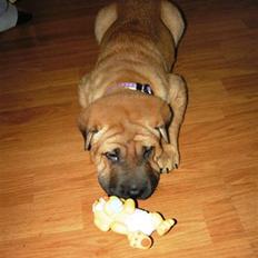 Blanding af racer Tove