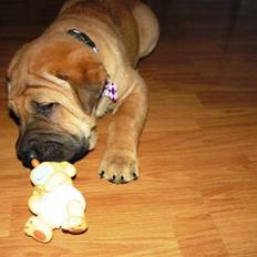 Blanding af racer Tove