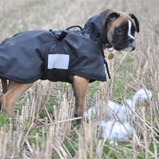 Boxer Hearts of hope´s Ferrari FXX