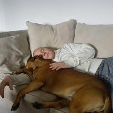 Blanding af racer Kalu