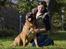 Bullmastiff Brak's On Slow Track - onslow KAN ik sidde selv....det kræver altid en lårskammel!!????