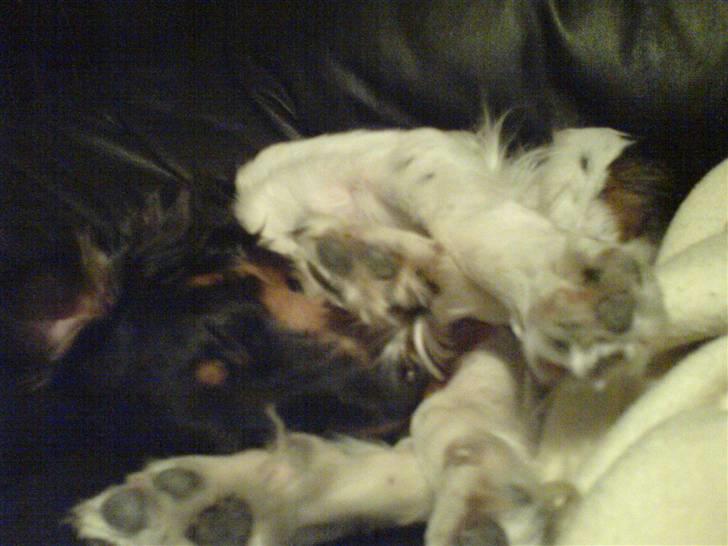 Blanding af racer Taico R.I.P. billede 10