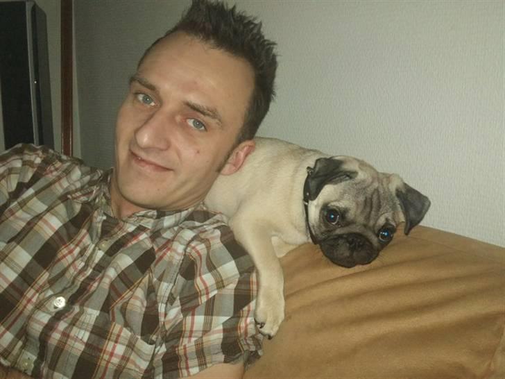 Mops Joey - min far som jeg elsker meget højt - vi putter lige <3 billede 20