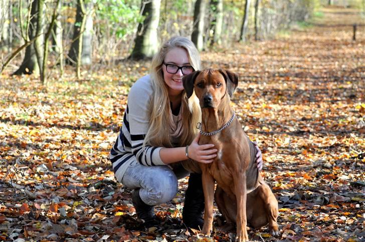 Rhodesian ridgeback M'Gongo Tasu A Saba - Velkommen til Tessa´s profil :D - Efterår 2010 - 7 November ... Foto: Far billede 1