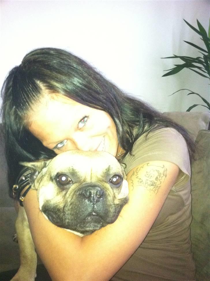 Fransk bulldog Van Wilcora Micki (Rip min skat) - Min mor og jeg :) billede 5