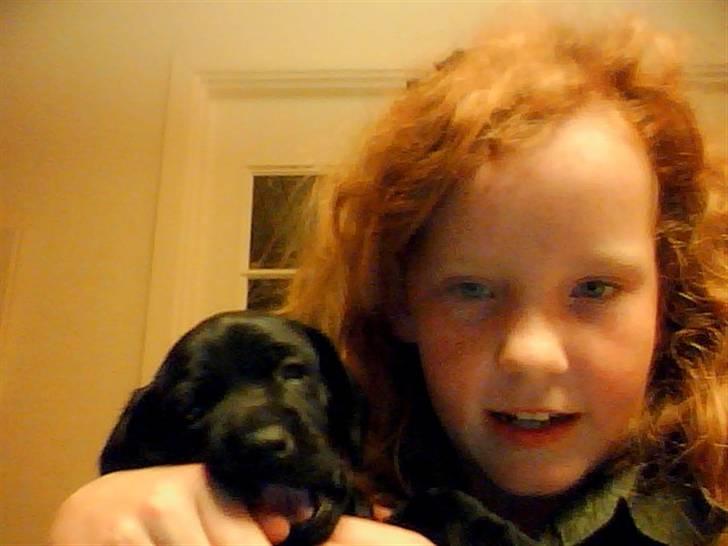 Blanding af racer Zeus billede 2