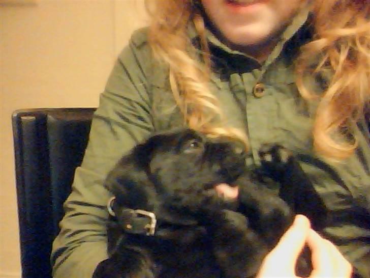 Blanding af racer Zeus billede 3