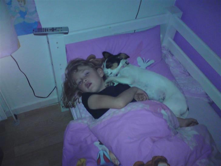 Blanding af racer Tøsen - Fast plads om aften billede 1