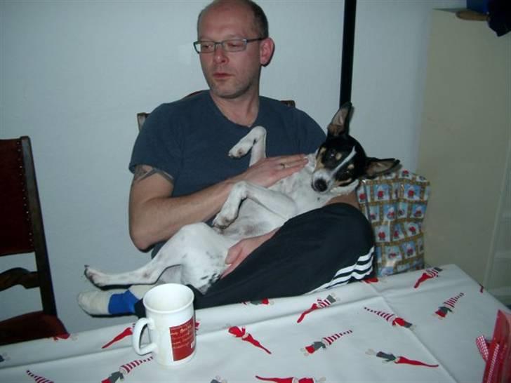 Bodeguero peugeot billede 14