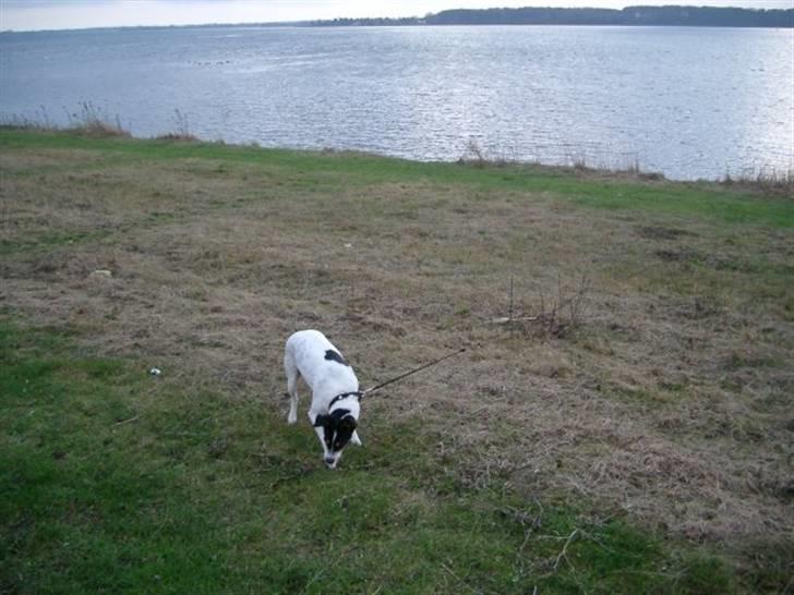 Bodeguero peugeot billede 15