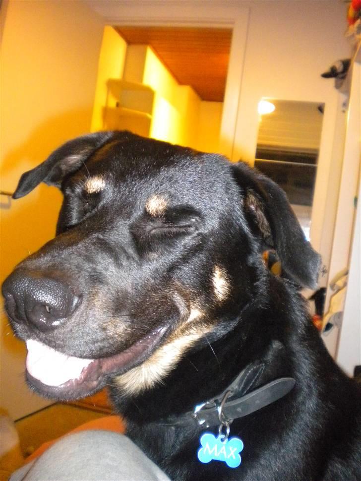 Blanding af racer max / maxi - smiiilll
 billede 9