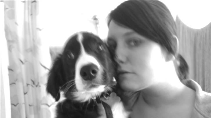 Blanding af racer rickie billede 7