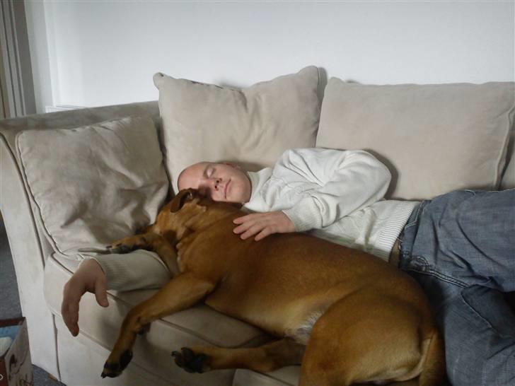 Blanding af racer Kalu - kalu og far tar en morfar billede 3