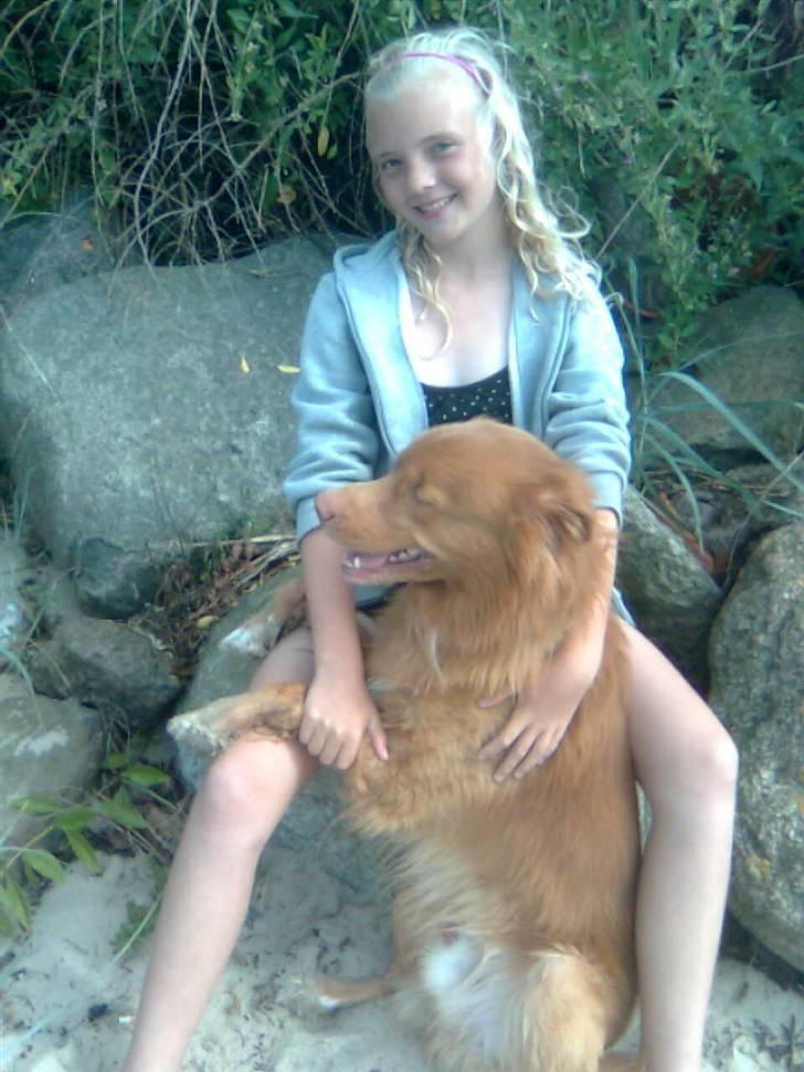 Nova scotia duck tolling retriever Dino - mig og Dino på stranden ;) billede 3