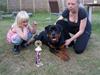 Rottweiler V. Hause Eisenguard Eike