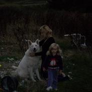 Hvid schæfer Asha