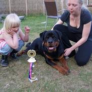 Rottweiler V. Hause Eisenguard Eike