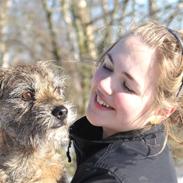 Border terrier Konghans<3 den bedste<3