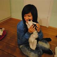 Border collie Charlie King