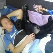 Blanding af racer Kenzo