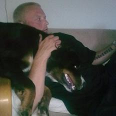 Berner sennenhund Bine