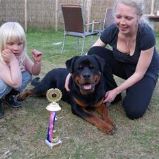 Rottweiler V. Hause Eisenguard Eike
