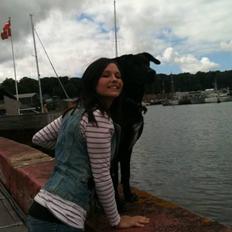 Blanding af racer Lotus