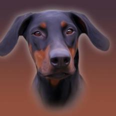 Dobermann **Watchout Diva**