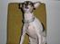 Blanding af racer Gucci <3 - Vampyr hunden. :)