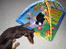 Dobermann Kejser *R.I.P* - Kejser der passer på Oliver <3 ..