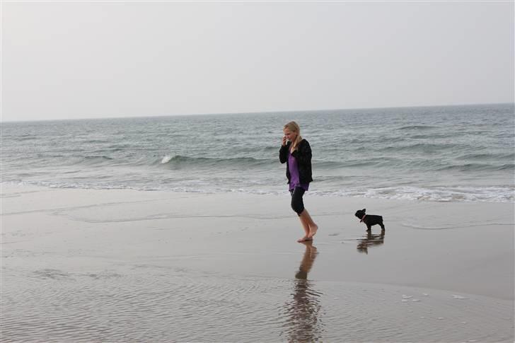 Fransk bulldog LouLou - Mig og LouLou på stranden :D billede 7