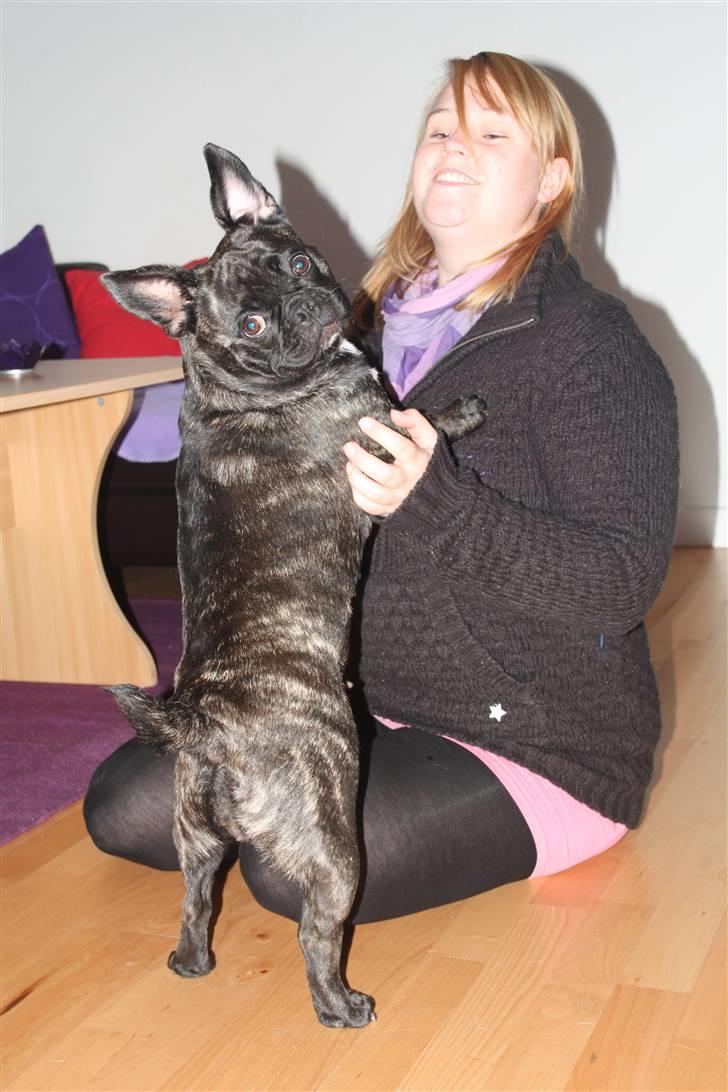 Blanding af racer Victoria  R.I.P - Var der nogle der sagde noget til mig? billede 7