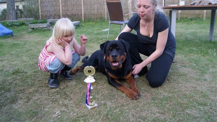 Rottweiler V. Hause Eisenguard Eike - Efter Udstilling ved Rottw. Klubben Fyn den 21 April 2011 billede 1