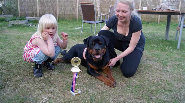 Rottweiler V. Hause Eisenguard Eike - Efter Udstilling ved Rottw. Klubben Fyn den 21 April 2011 billede 2