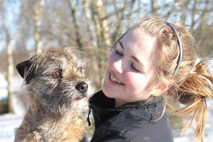 Border terrier Konghans<3 den bedste<3 - jeg elsker dig helt ubeskriveligt højt<3  billede 2