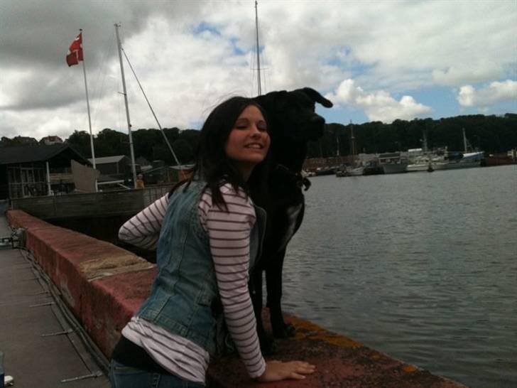 Blanding af racer Lotus - når vi hygger ved vandet.  billede 2